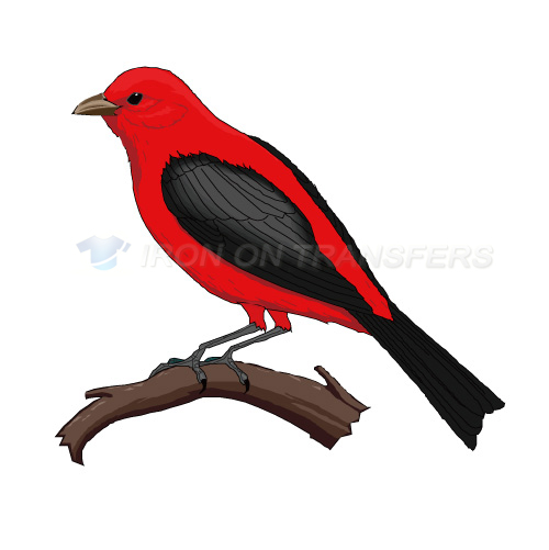 Birds Iron-on Stickers (Heat Transfers)NO.2136